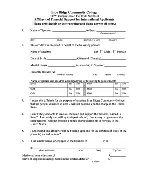 International financial affidavit form brcc