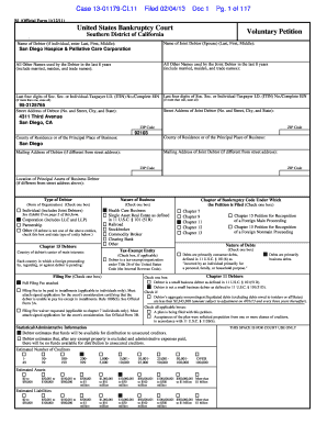 Voluntary Petition for Bankruptcy