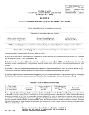 Form F-1 Registration Statement