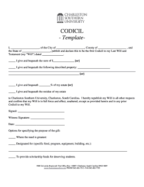 Codicil to Last Will and Testament