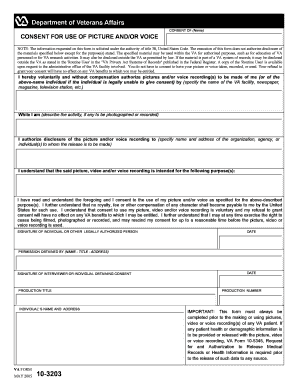 VA Consent for Use of Picture and Voice