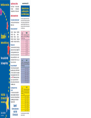 Hawk-I Child Health Insurance Application