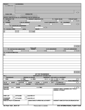 DOD International Flight Plan