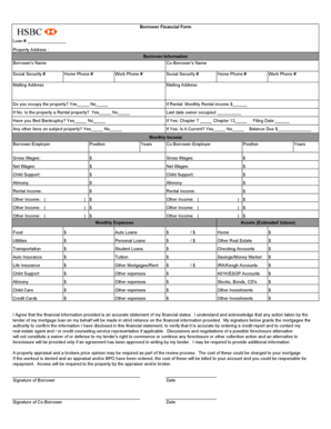 Borrower Financial Form