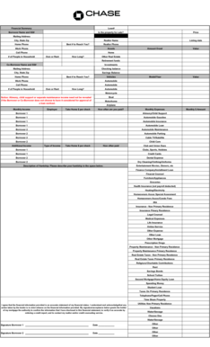 Loan Application Financial Summary Form