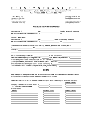 Financial Snapshot Worksheet
