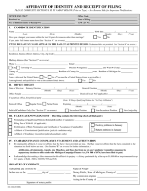 Affidavit of Identity and Receipt of Filing