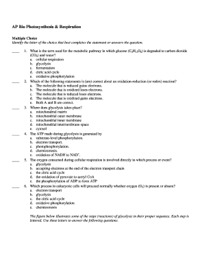 AP Bio Photosynthesis & Respiration Quiz