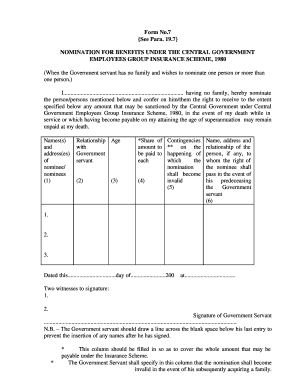 Form preview picture