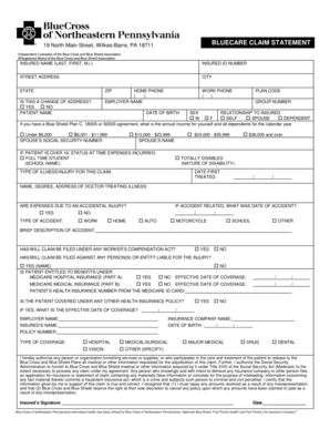 BlueCare Claim Statement