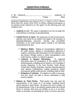 Limited Power of Attorney for Credit Improvement