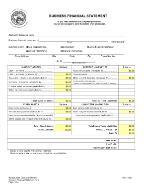 Nevada Business Financial Statement