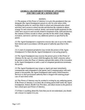 Georgia Grandparent Power of Attorney for Minor Child