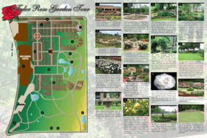 Tyler Rose Garden Tour Guide