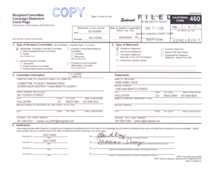 California Form 460 Campaign Statement