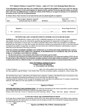 NYC Initiative Petition to Amend NYC Charter