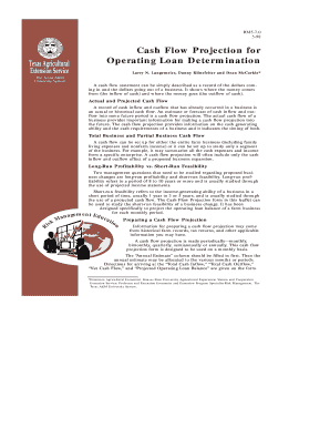 Cash Flow Projection for Operating Loan Determination