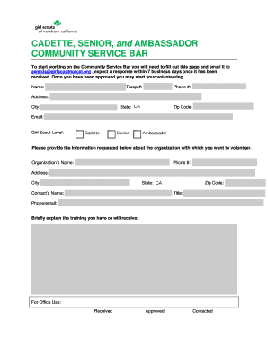 Girl Scouts Community Service Bar Application
