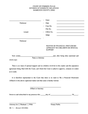 Waiver of Financial Disclosure Affidavit