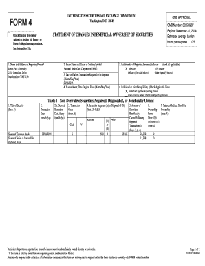 Form 4 Statement of Changes in Beneficial Ownership