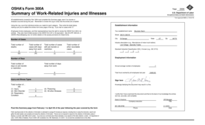OSHA Form 300A Summary of Work-Related Injuries and Illnesses