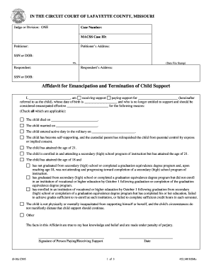 Affidavit for Emancipation and Termination of Child Support