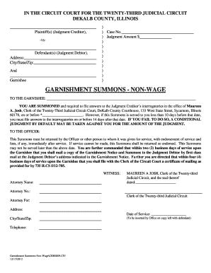 Illinois Non-Wage Garnishment Summons