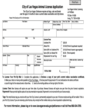 Form preview picture