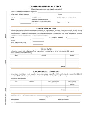 Campaign Financial Report