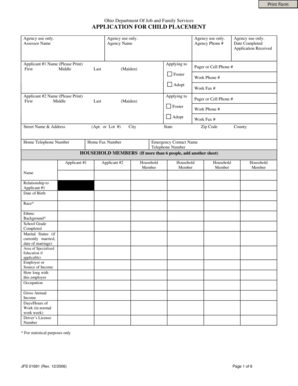 Ohio Child Placement Application