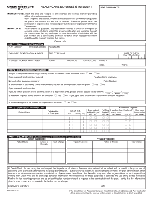 Healthcare Expense Statement
