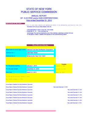 Supplemental Annual Report for National Fuel Gas Distribution