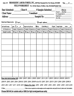 Form preview picture