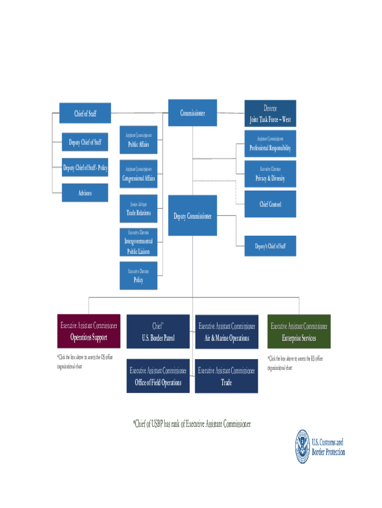 Immigration And Customs Enforcement Organizational Chart