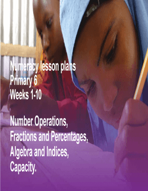 Numeracylesson plan 1 5 primary 6