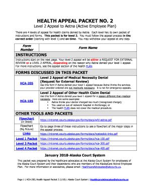 HCA-200 Health Appeal Packet 2 - L2 Appeal to Aetna