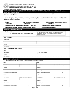 Business Organizational Structure Form - Missouri Medicaid Audit ...