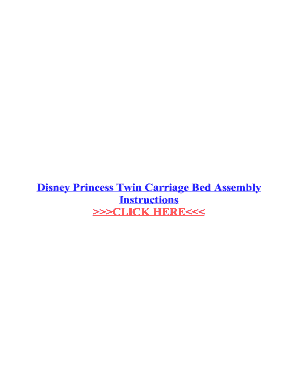 Disney Princess Carriage Bed Assembly, Disney Princess Metal 4 Pc Twin Carriage Bed Assembly Instructions