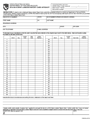 Form preview picture