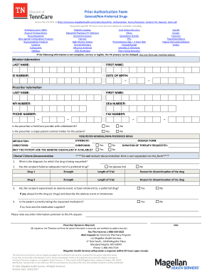 Form preview picture