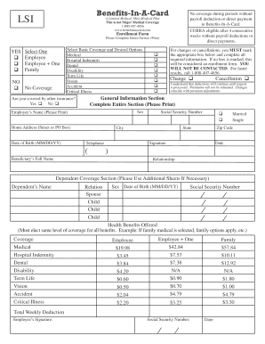 Lsi Staffing Pay Stub - Fill Online, Printable, Fillable, Blank | pdfFiller