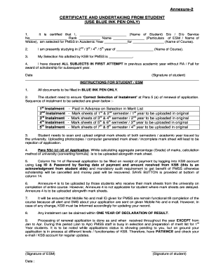 Form preview picture