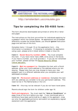 US Passport Application Form DS-4085