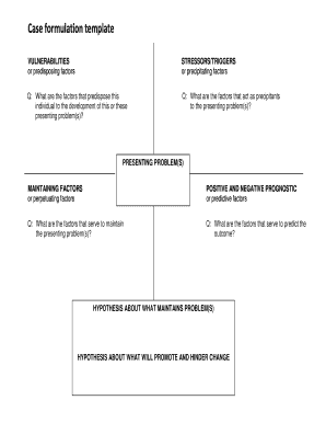 what is a case formulation in social work