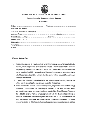 Buenos Aires Public Bicycle Transportation System Affidavit