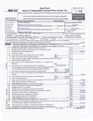 Form 990-EZ 2013