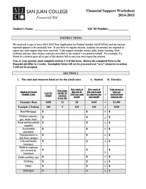 Financial Support Worksheet