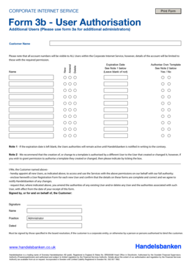 Corporate Internet Service User Authorisation