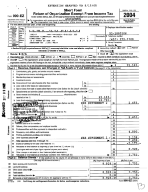 IRS Form 990-EZ 2004