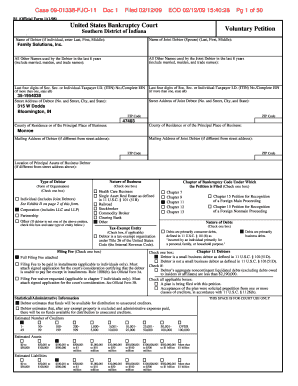 US Bankruptcy Court Voluntary Petition